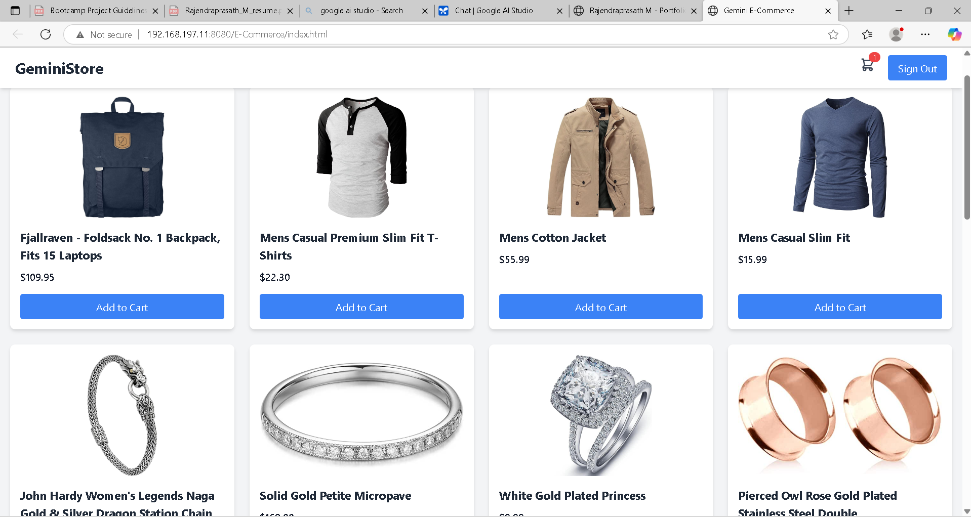 Rajendraprasath M - Portfolio